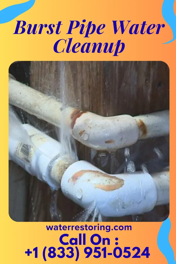 Burst Pipe Water Cleanup in Captains Cove, VA