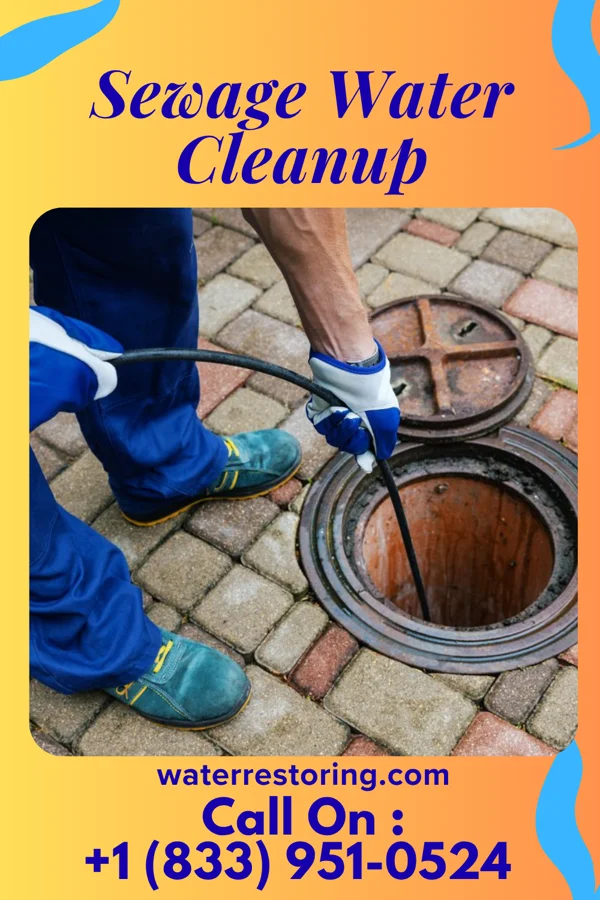 Sewage Water Cleanup in Captains Cove, VA