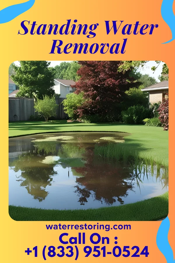 Standing Water Removal in Captains Cove, VA